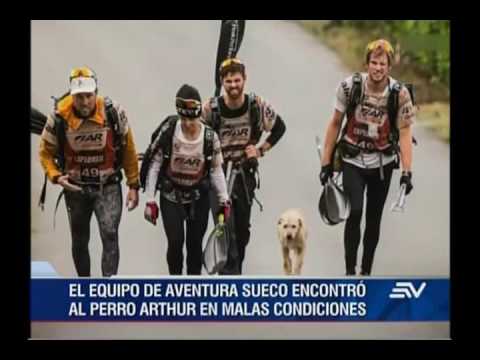 La historia de Arthur, el can ecuatoriano que vive en Suecia