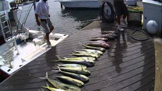 preview picture of video 'key west fishing 2.AVI'