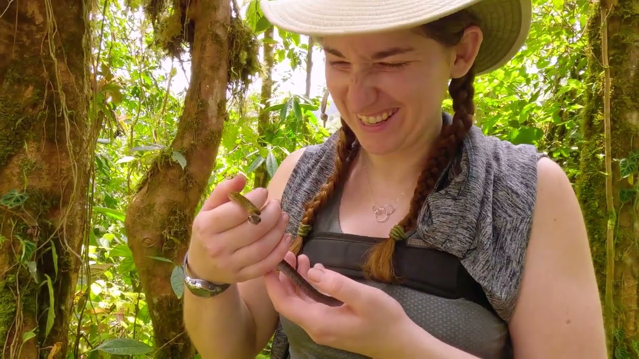 World's First 3D Animal Scanner!