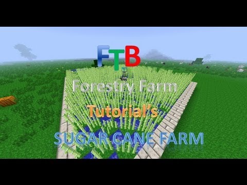 FTB Forestry Farm Tutorial -  Sugar Cane Farm