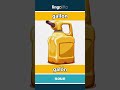 gallon - galón video thumbnail