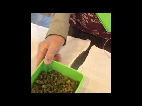 Using the Magical Butter DecarBox to Decarboxylate your Botanicals