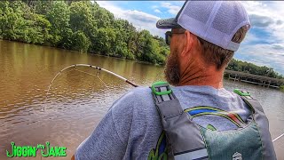 Catching Catfish in a Shallow Creek Channel - CATCH and COOK