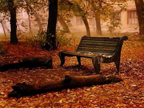 Nilüfer Örer-Yeter