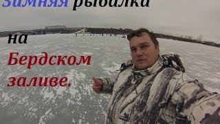 Зимняя рыбалка в бердском заливе