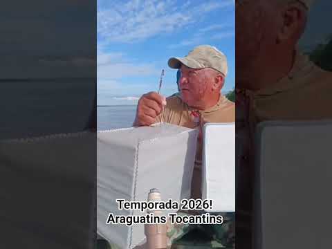 Carnaval foi na cidade de Tocantins (Araguatins). Temporada 2026!