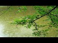 10 Hours Of Beautiful Relaxing Rain For Sleep Relaxing Rain Relaxing Rain