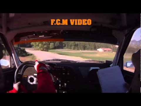CameraCar Rally Valli del Giarolo 2011 Leoni - Poggi Peugeot 306 Maxi FA7