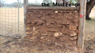 preview picture of video 'Mount Gambier Mud Brick House'