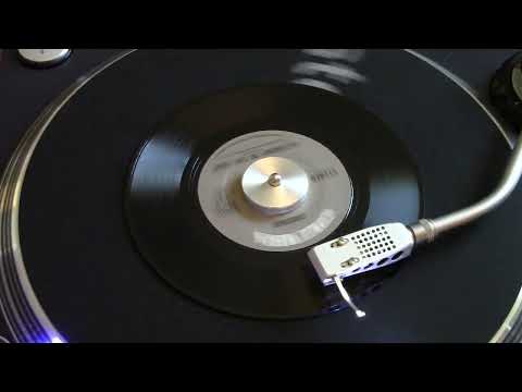 Saturday in the Park - Chicago