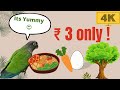 Egg Food Making Aviary വിശേഷങ്ങൾ Healthy Home Made Food For Birds