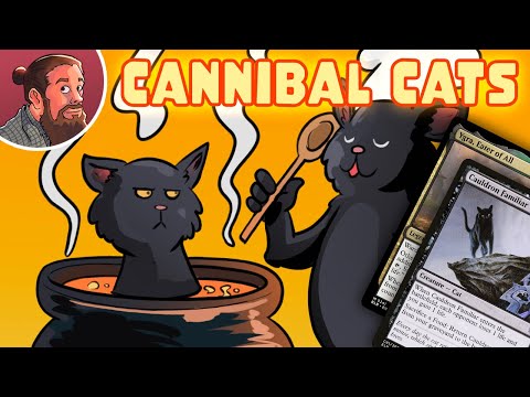 My Cats Eat Food. My Cats ARE Food. My Cats Eat Cats? | Much Abrew