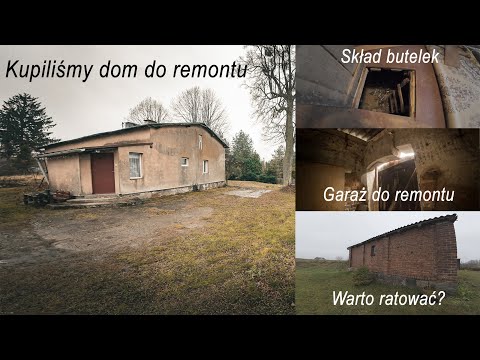 We bought an old house for renovation with a 4000m2 plot