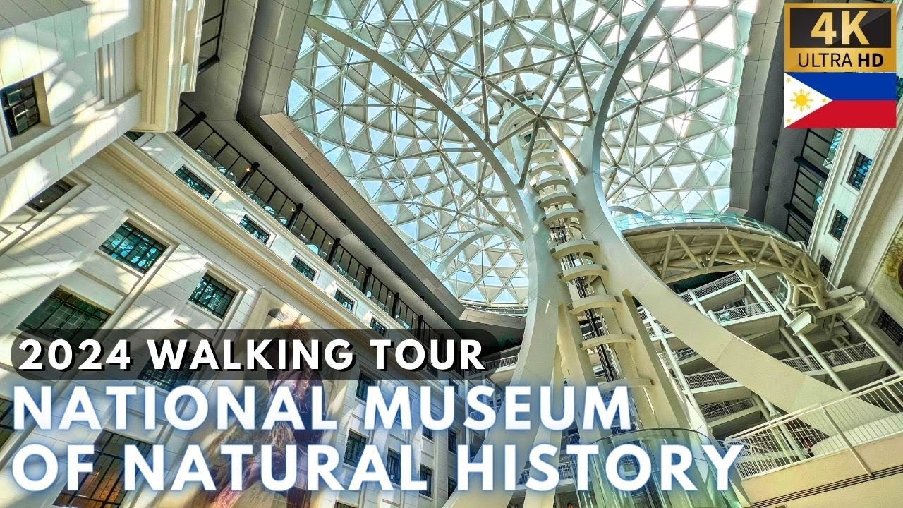 Embark on a virtual walking tour of National Museum of Natural History.