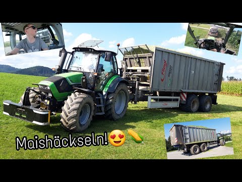 FarmVlog #55 | Der erste Mais fällt! | Maishäckseln 2020 | TTV am Limit?! | Moareida Agrar