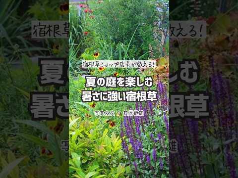四季折々の低木、あなたにぴったりなのはどれ？成長が早く、一年中開花するもの！  庭園