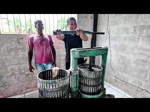 a verdadeira raiz e base da economia de Serra dos Aimorés e de grande parte do Vale do Mucuri