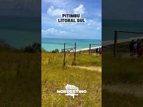 Pitimbu litoral sul #reggae #reggaemusic #praiasdonordeste #nordeste #paraiba