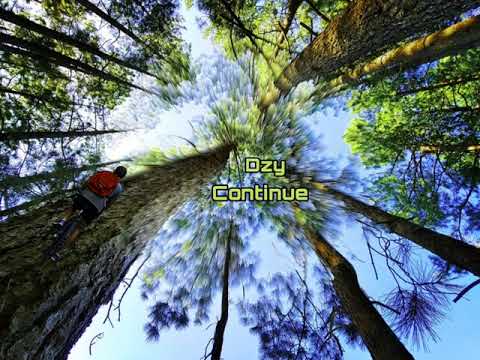 Dzy4 - Continue