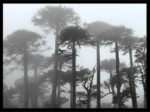 Tierra Oscura - Soledad