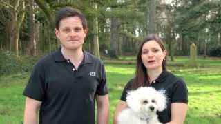 Precious Pets London - How to use Video