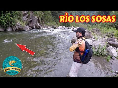 Este RÍO EXTREMO 😳 Tiene TRUCHAS GRANDES 💪 Pesca 🎣 Y Aventura 🏞 Río Los Sosas Tucuman!!