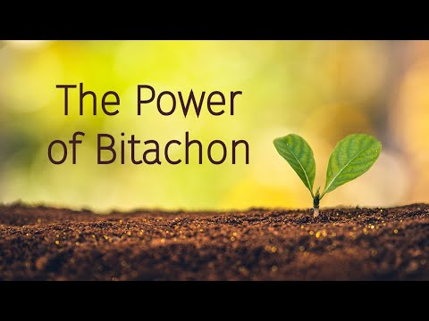 How to Apply Bitachon to Real Life Challenges