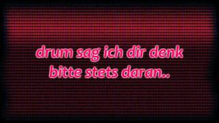 Die Ärzte - Männer sind Schweine [HD/HQ]