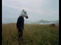 Comfort me - Sparklehorse 