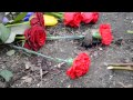 Герої не вмирають! Майдан 23 лютого 
