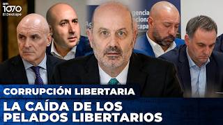 😱 ¡STURZENEGGER TIEMBLA! Las "MISTERIOSAS" CAÍDAS de los PELADOS LIBERTARIOS