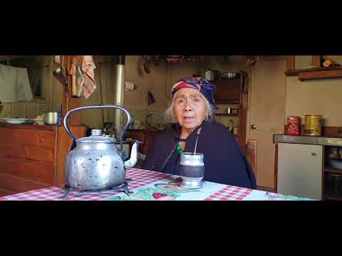 Documental MAPUCHE KUIFI KIMUN