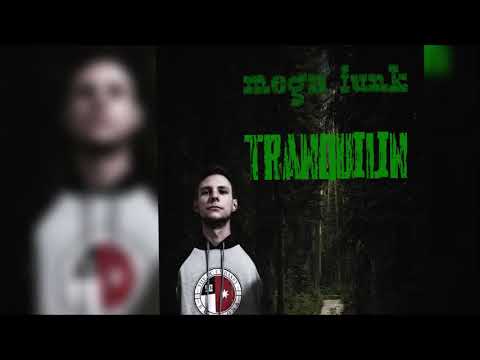 Mega Funk Tranquilin (DJ Luan WS)