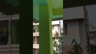 2 BHK Flat for Rent in Dum Dum, Kolkata