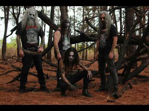 Velho / Reunindo  as Matilhas ( Música Nova 2024)