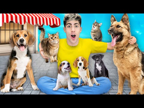 24 HOURS IN PET STORE!!