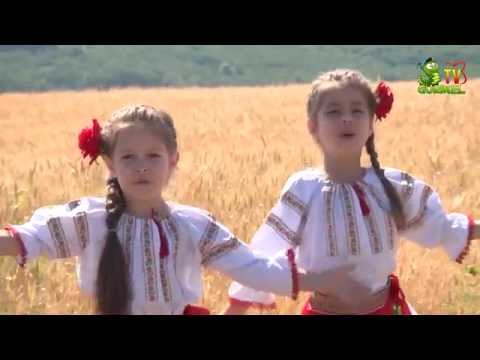 MiniStars - Moldovioara