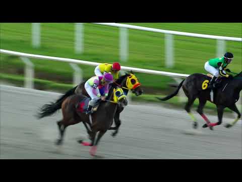 211030 c09 GUIRNALDA