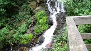 preview picture of video 'Amicalola Falls, GA'