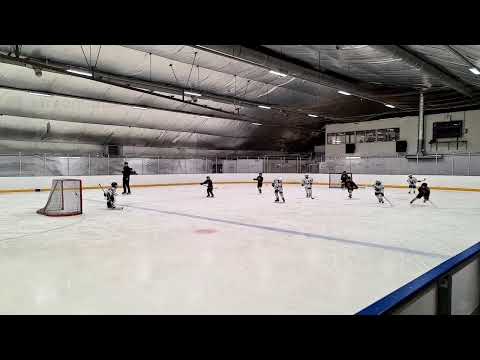 U8: Koovee / Tappara Rantakarit - Kisa-Eagles Samulit 29.1.2022