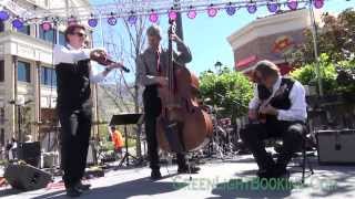 Utah Gypsy Jazz Music