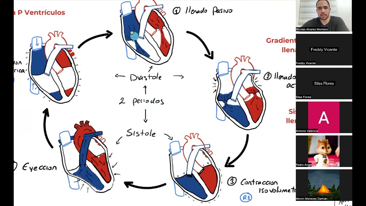 Principios de farmacos antihipertensivos