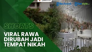 Viral Pengantin Ubah Rawa Jadi Tempat Pernikahan Mewah, Habiskan Biaya Hingga Rp 108 Juta