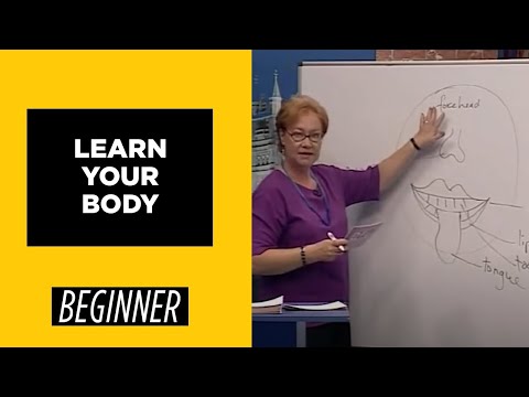 Beginner Level Learn Your Body | English For You