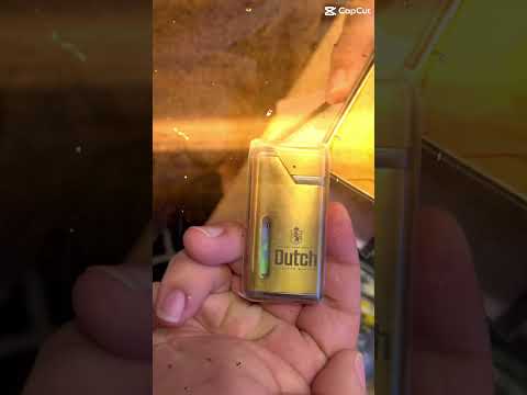 Dutch Masters Cigars Unboxing Summer 2024