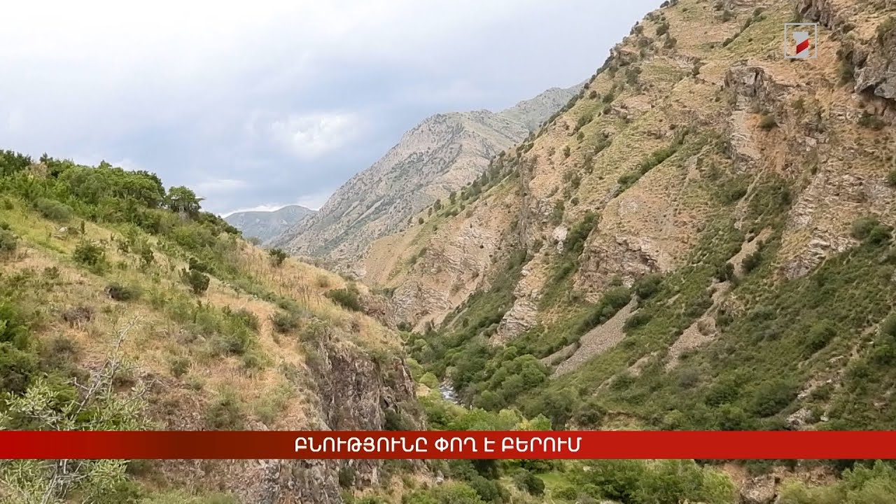Բնությունը փող է բերում