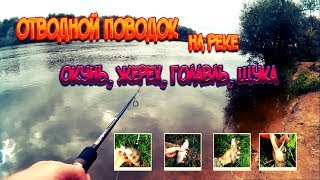 Ловить голавля на отводной поводок