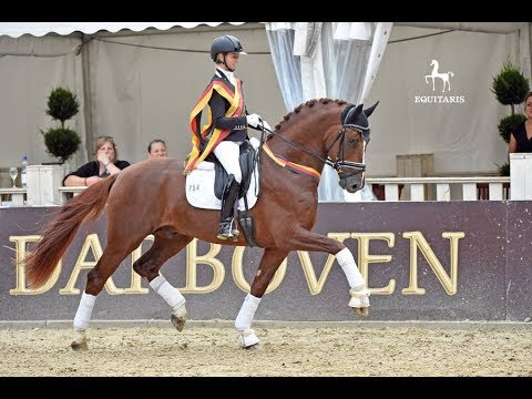 So Unique (Sezuan x Donnerhall x Weltmeyer)