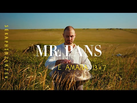 MrPans handpan - E Amara 13+7 - Seraphim Zlatev
