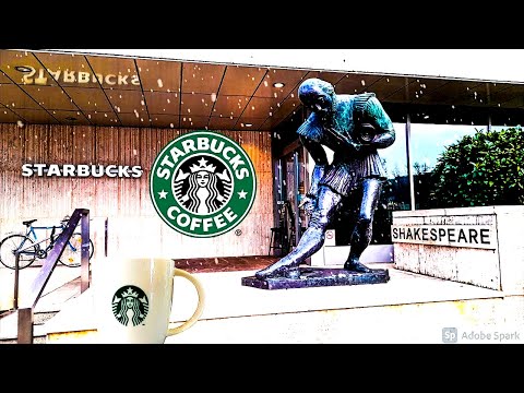Starbucks akcijų opcionai darbuotojams